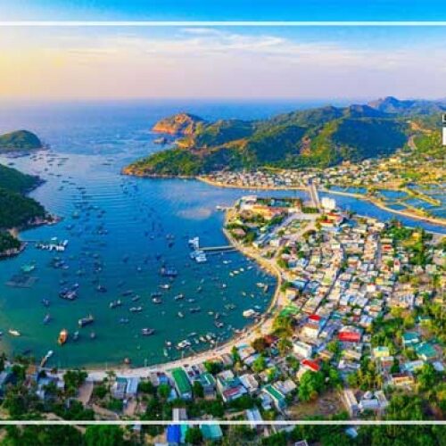 Ninh chu 7261