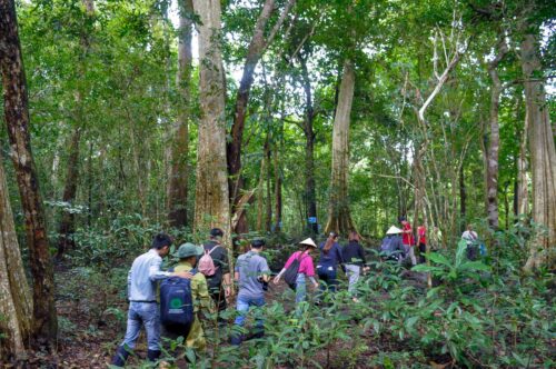 Nam cát tiên ảnh khách
