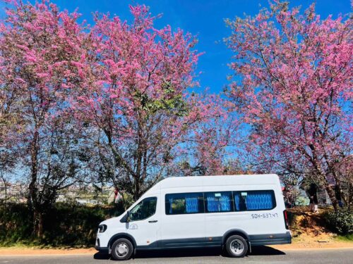 Thuê xe 18 chỗ đi Pleiku tại Huy Đạt có Xe đời mới – bảo dưỡng định kỳ